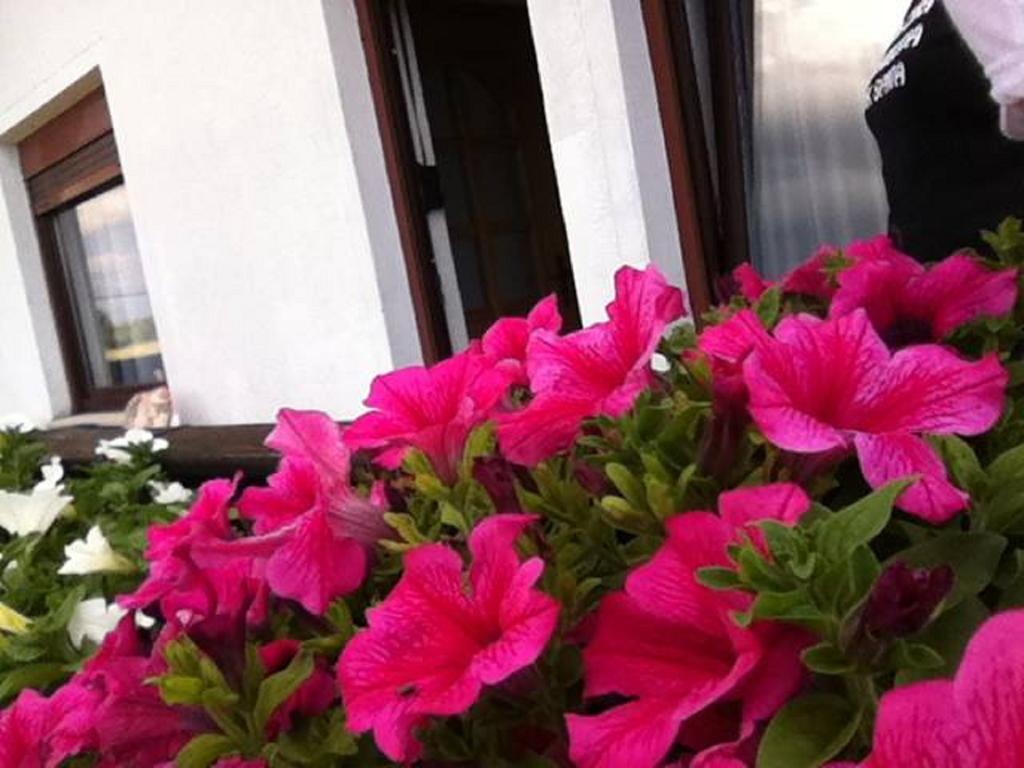 Guesthouse Magdalena Rakovica Rom bilde